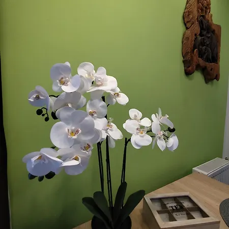 Apartman Gt Dombóvár